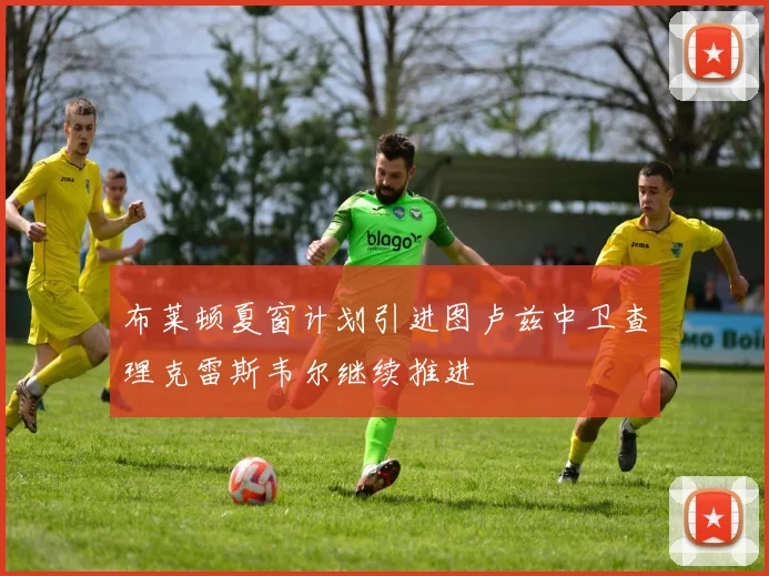 布莱顿夏窗计划引进图卢兹中卫查理克雷斯韦尔继续推进