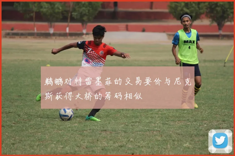 鹈鹕对特雷墨菲的交易要价与尼克斯获得大桥的筹码相似